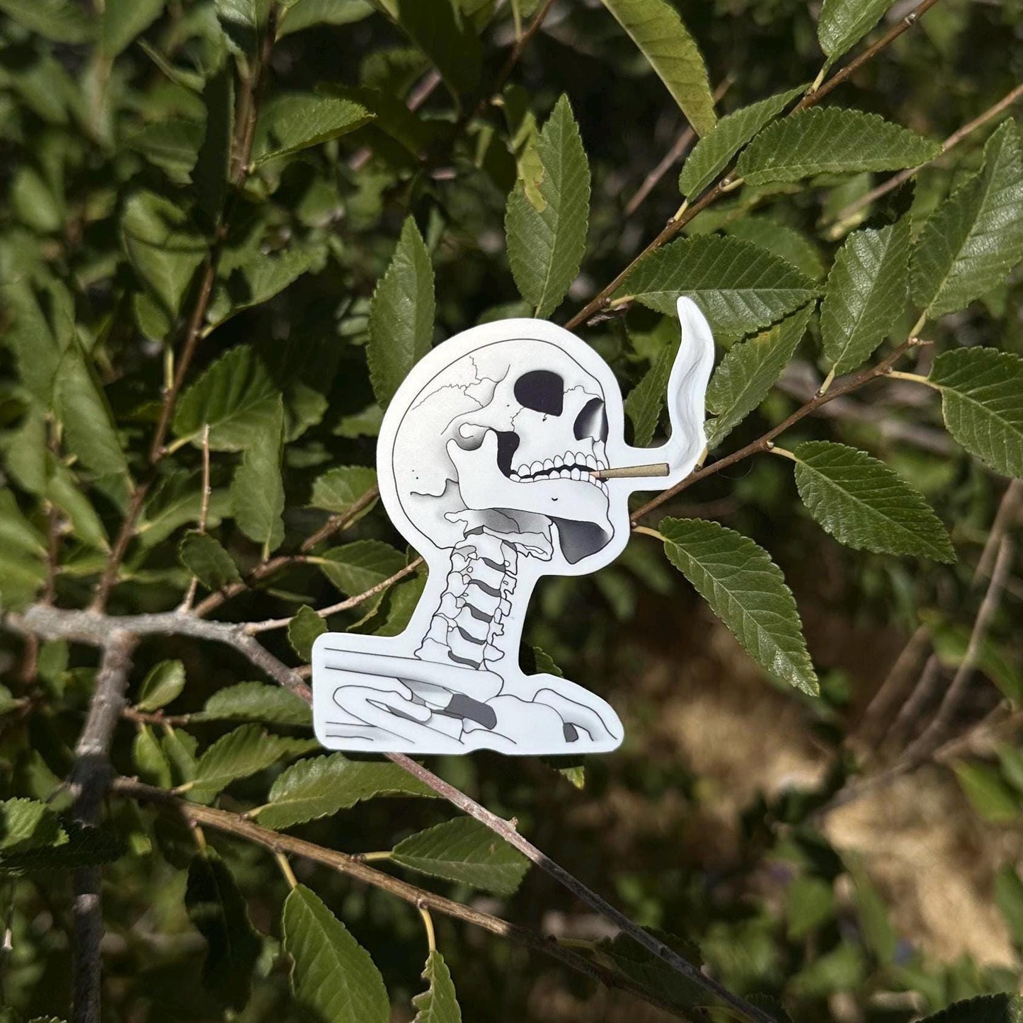 Skeleton Smoke Sticker