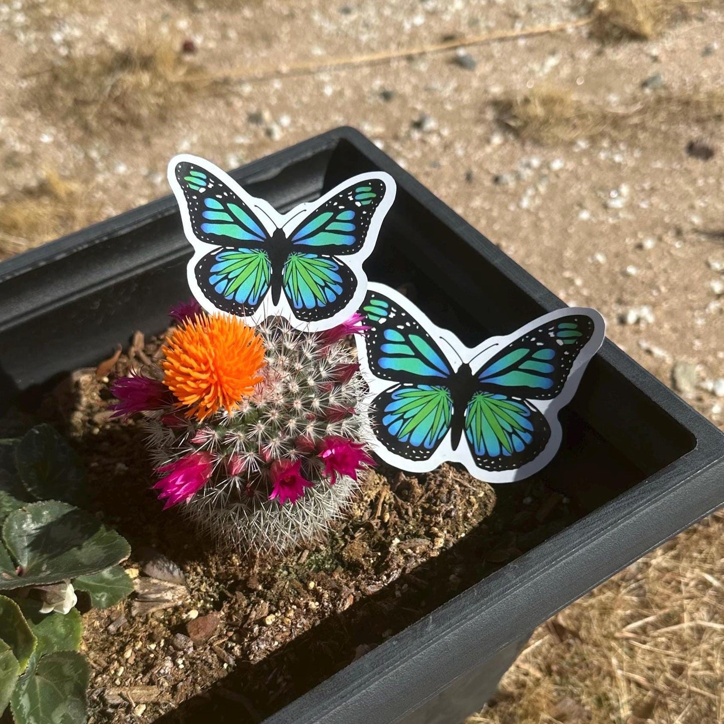 Herbal Butterfly Sticker