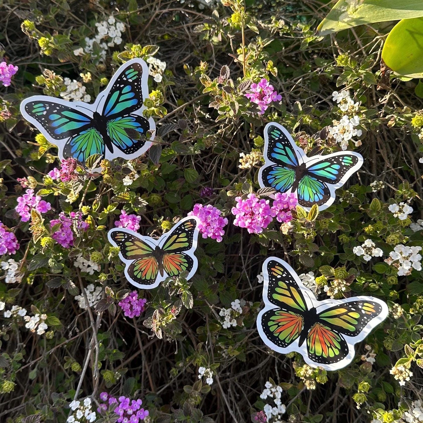 Herbal Butterfly Sticker